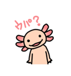 ウーパールーパー絵日記（個別スタンプ：2）