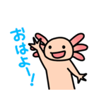 ウーパールーパー絵日記（個別スタンプ：3）