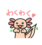 ウーパールーパー絵日記（個別スタンプ：6）