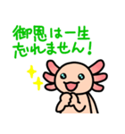ウーパールーパー絵日記（個別スタンプ：7）