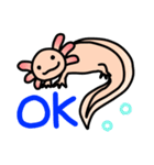 ウーパールーパー絵日記（個別スタンプ：8）
