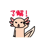 ウーパールーパー絵日記（個別スタンプ：9）