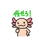 ウーパールーパー絵日記（個別スタンプ：10）