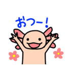 ウーパールーパー絵日記（個別スタンプ：11）