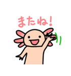 ウーパールーパー絵日記（個別スタンプ：12）