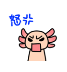 ウーパールーパー絵日記（個別スタンプ：17）
