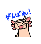 ウーパールーパー絵日記（個別スタンプ：20）