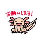 ウーパールーパー絵日記（個別スタンプ：23）