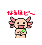 ウーパールーパー絵日記（個別スタンプ：26）