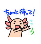 ウーパールーパー絵日記（個別スタンプ：27）