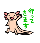 ウーパールーパー絵日記（個別スタンプ：31）