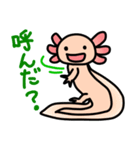 ウーパールーパー絵日記（個別スタンプ：34）