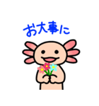 ウーパールーパー絵日記（個別スタンプ：37）