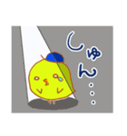 ピヨ太のほんわかエブリデイ（個別スタンプ：5）