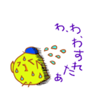 ピヨ太のほんわかエブリデイ（個別スタンプ：40）