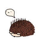 mimi hedgehog（個別スタンプ：8）