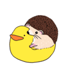 mimi hedgehog（個別スタンプ：15）
