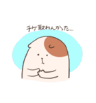 はむばんぎゃやねん！（個別スタンプ：17）