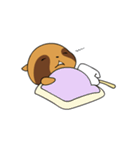 Pilgrim Racoon dog（個別スタンプ：4）