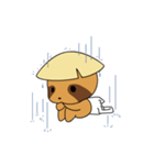 Pilgrim Racoon dog（個別スタンプ：12）