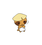 Pilgrim Racoon dog（個別スタンプ：22）