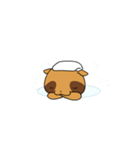 Pilgrim Racoon dog（個別スタンプ：26）