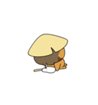 Pilgrim Racoon dog（個別スタンプ：37）