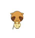 Pilgrim Racoon dog（個別スタンプ：39）