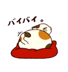 ぐーたら三毛猫にゃんこ（個別スタンプ：3）