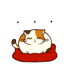 ぐーたら三毛猫にゃんこ（個別スタンプ：11）