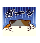 ぐーたら三毛猫にゃんこ（個別スタンプ：33）