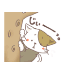 ねこたま！（個別スタンプ：19）
