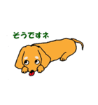 "ダックスフンド"の”そらくん”（個別スタンプ：1）