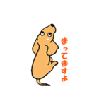 "ダックスフンド"の”そらくん”（個別スタンプ：16）