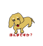 "ダックスフンド"の”そらくん”（個別スタンプ：20）