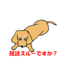 "ダックスフンド"の”そらくん”（個別スタンプ：21）