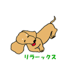 "ダックスフンド"の”そらくん”（個別スタンプ：23）