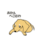 "ダックスフンド"の”そらくん”（個別スタンプ：32）
