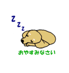"ダックスフンド"の”そらくん”（個別スタンプ：38）