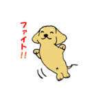 "ダックスフンド"の”そらくん”（個別スタンプ：39）
