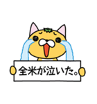 みかんねこさん（個別スタンプ：6）