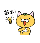 みかんねこさん（個別スタンプ：21）