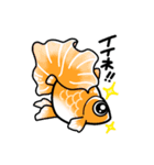 金魚のキモチ♪（個別スタンプ：22）