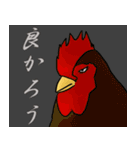 こーちゃんとひーちゃん（個別スタンプ：40）