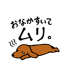 モグモグ犬（個別スタンプ：33）