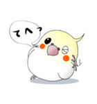 オカメだらけ。（個別スタンプ：11）