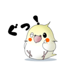 オカメだらけ。（個別スタンプ：13）
