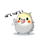 オカメだらけ。（個別スタンプ：21）