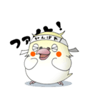 オカメだらけ。（個別スタンプ：25）