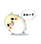 オカメだらけ。（個別スタンプ：28）